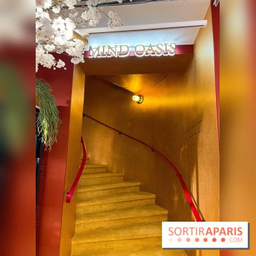 Rituals Mind Oasis - institut de relaxation mentale sur les Champs-Élysées