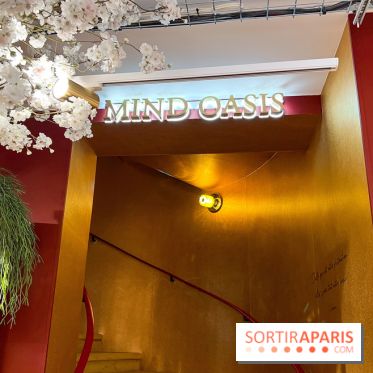 Rituals Mind Oasis - institut de relaxation mentale sur les Champs-Élysées