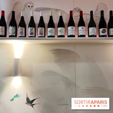 Bourrache - Décoration