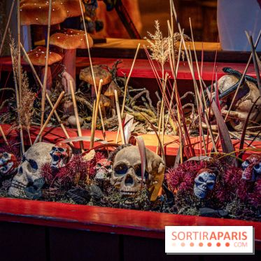 Halloween au Parc Astérix 2023 - Peur sur le Parc -  A7C3829