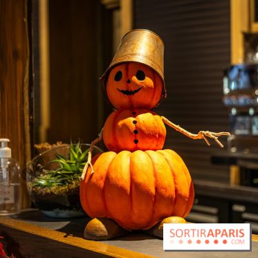 Halloween au Parc Astérix 2023 - Peur sur le Parc -  A7C3969