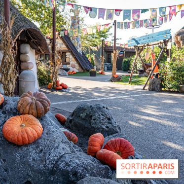 Halloween au Parc Astérix 2023 - Peur sur le Parc -  A7C3982