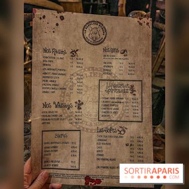 Halloween au Parc Astérix 2023 - Peur sur le Parc - IMG 2410