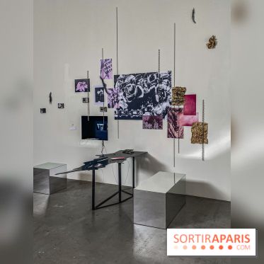 Exposition Hors de la nuit des normes Palais de Tokyo