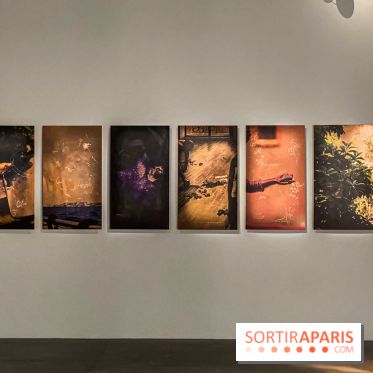 Exposition Hors de la nuit des normes Palais de Tokyo