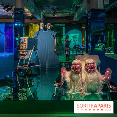 Doppelganger ! expo Jakob Lena Knebl Ashley Hans Scheirl Palais de Tokyo