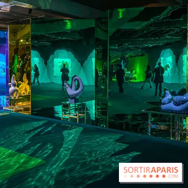 Doppelganger ! expo Jakob Lena Knebl Ashley Hans Scheirl Palais de Tokyo