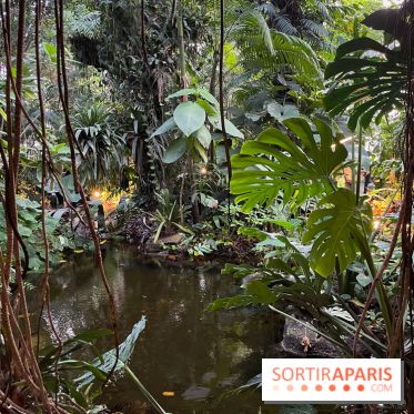 Automne Tropical 2023