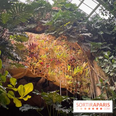 Automne Tropical 2023