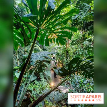 Automne Tropical 2023