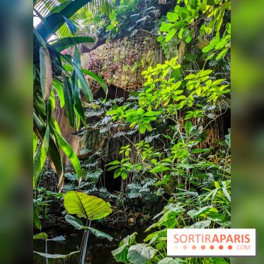 Automne Tropical 2023