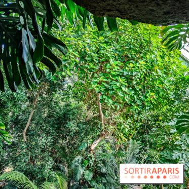 Automne Tropical 2023