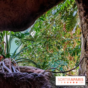 Automne Tropical 2023