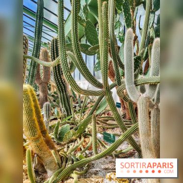 Automne Tropical 2023