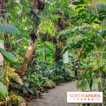 Automne Tropical 2023