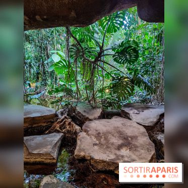 Automne Tropical 2023