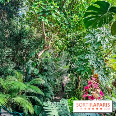 Automne Tropical 2023