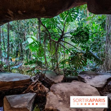 Automne Tropical 2023