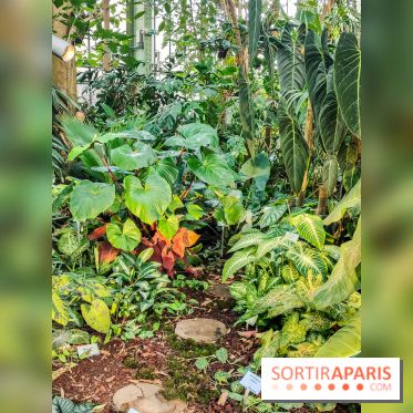 Automne Tropical 2023