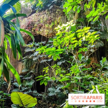 Automne Tropical 2023