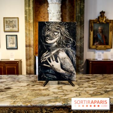 Sara-Vide Ericson : les photos de son expo à l'Institut suédois