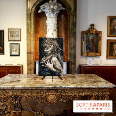 Sara-Vide Ericson : les photos de son expo à l'Institut suédois