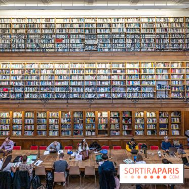 Bibliothèque de Mines Paristech - Musée de minéralogie  -  A7C4066