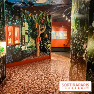 Choco Story, le musée du chocolat hyper gourmand à Paris