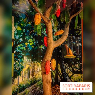 Choco Story, le musée du chocolat hyper gourmand à Paris