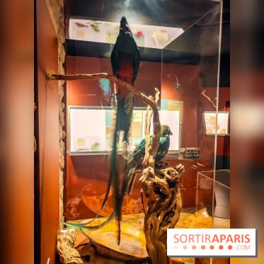 Choco Story, le musée du chocolat hyper gourmand à Paris