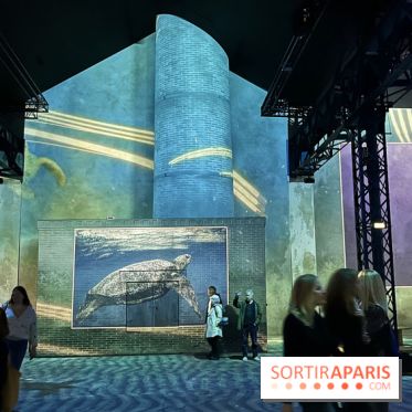 Océans, l'Odyssée Immersive à l'Atelier des Lumières - IMG 6145