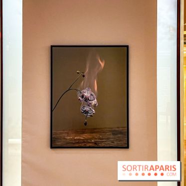 Les Fleurs du Mal, l'exposition gratuite sur les fleurs à la Maison Guerlain - Champs-Élysées