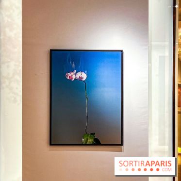 Les Fleurs du Mal, l'exposition gratuite sur les fleurs à la Maison Guerlain - Champs-Élysées