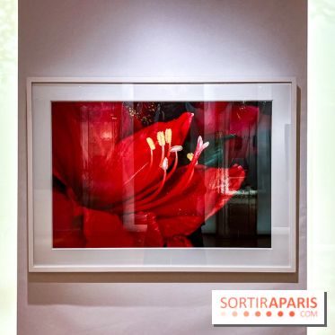 Les Fleurs du Mal, l'exposition gratuite sur les fleurs à la Maison Guerlain - Champs-Élysées - image00075