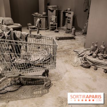 Chen Zhen, les photos de l'expo à la Galleria Continua - IMG 1349