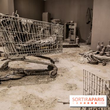 Chen Zhen, les photos de l'expo à la Galleria Continua - IMG 1351