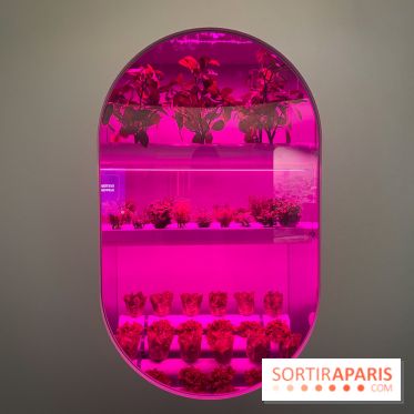 Mission spatiale - IMG 2811