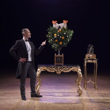 Un magicien qui vous fera voyager dans le temps dans un palace parisien - soirees fantastiques spectacle magie paris automate oranger haut de gamme