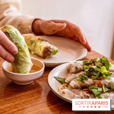 Saigon d'Antan - restaurant vietnamien - rouleaux de printemps