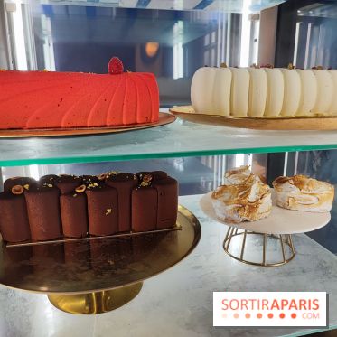 Ice Mama - Glacier - 1000055328