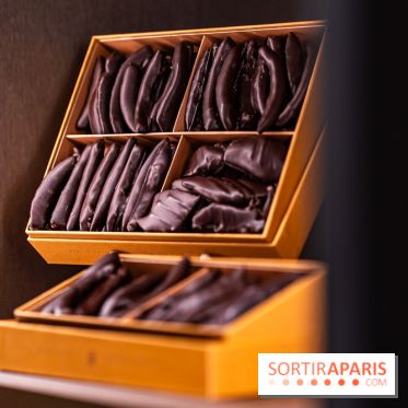 Louis Fouquet Montaigne - Chocolatier - confiseur