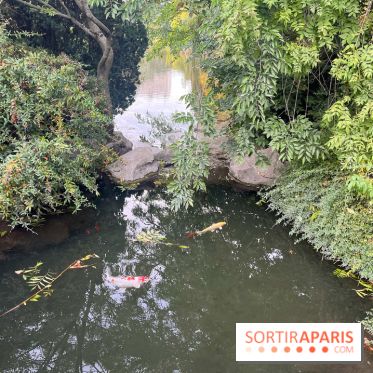 Le parc Montsouris - nos photos - image00043