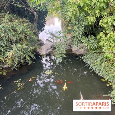 Le parc Montsouris - nos photos - image00045