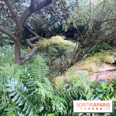 Le parc Montsouris - nos photos - image00034