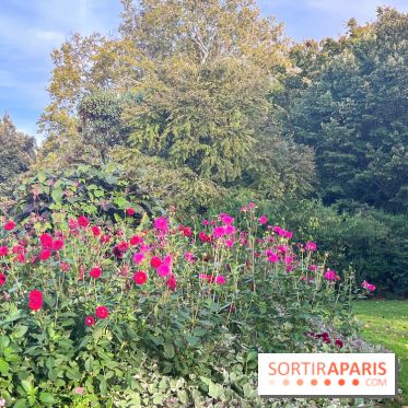 Le parc Montsouris - nos photos - image00011