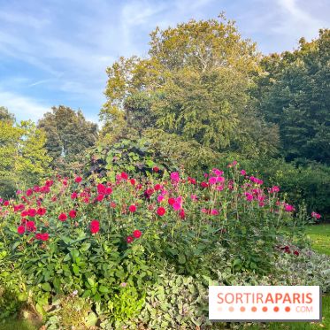 Le parc Montsouris - nos photos - image00012