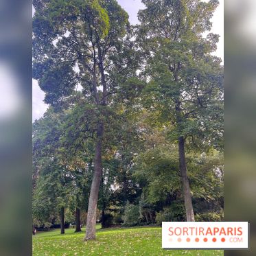 Le parc Montsouris - nos photos - image00004