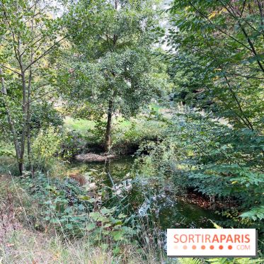 Le parc de l'Île Verte à Chatenay-Malabry - nos photos - image00545
