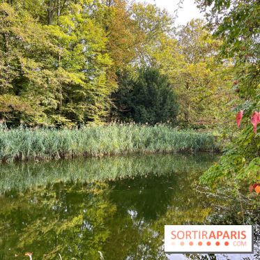 Le parc de l'Île Verte à Chatenay-Malabry - nos photos