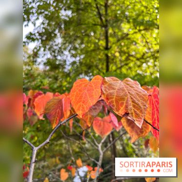 Le parc de l'Île Verte à Chatenay-Malabry - nos photos